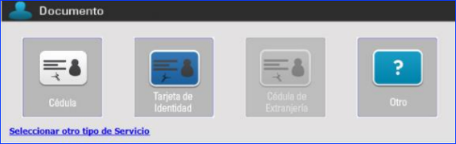 Manual_02_CEA_15