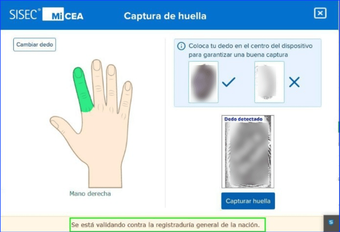 Manual_07_CEA_21