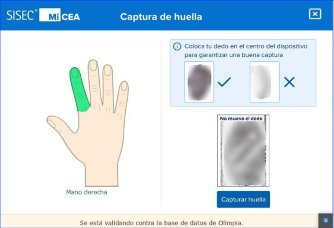 Manual_07_CEA_32