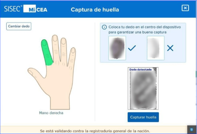 Manual_07_CEA_33