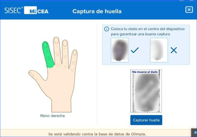 Manual_07_CEA_38