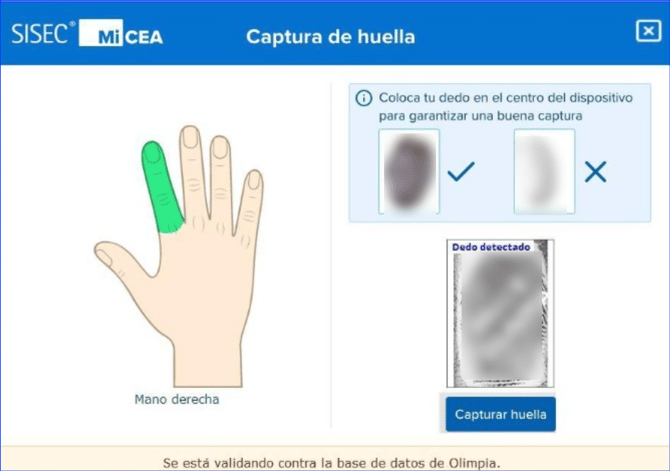 Manual_07_CEA_45