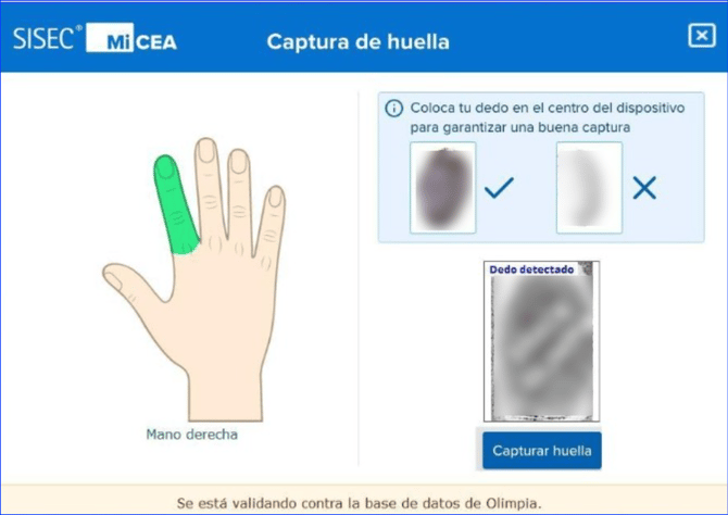 Manual_07_CEA_49