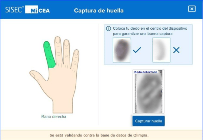 Manual_07_CEA_62