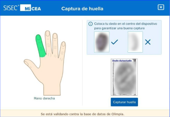 Manual_07_CEA_65