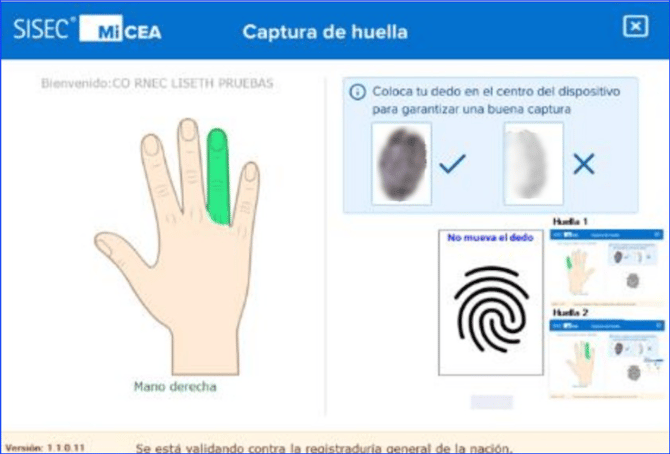 Manual_08_CEA_121