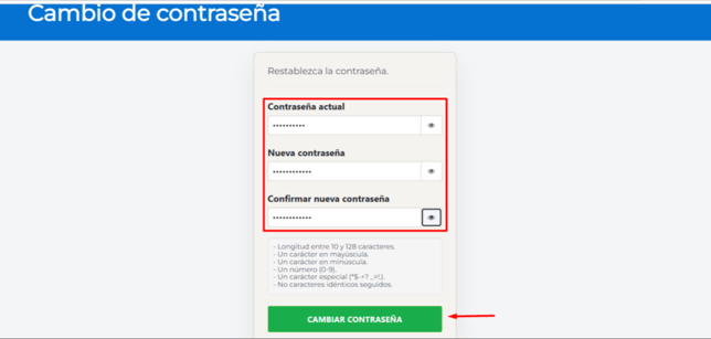 Manual_08_CEA_17