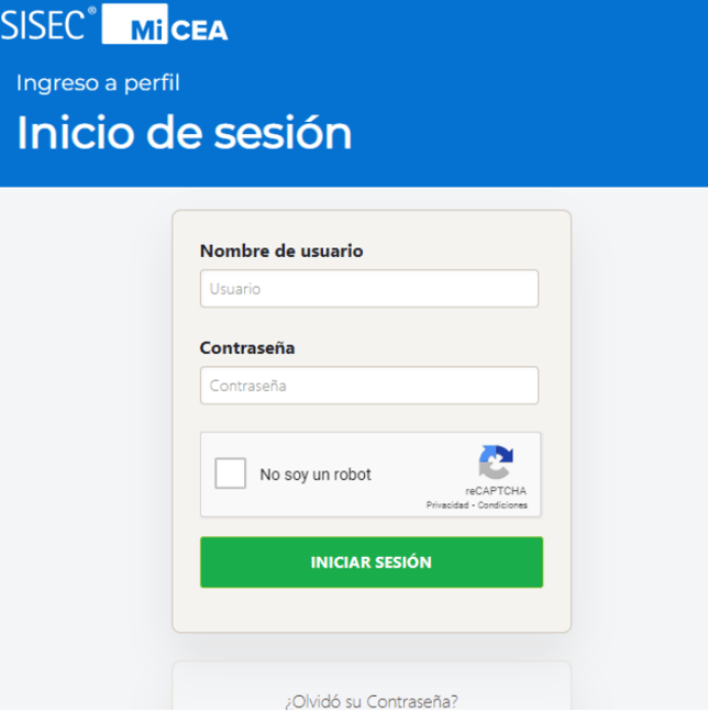 Manual_08_CEA_19