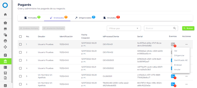 Manual_02_MIS PAGARES_39